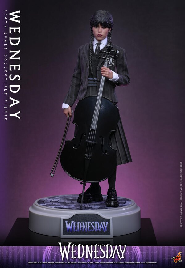 High-quality box of the figure