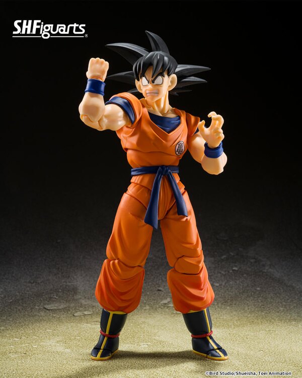 S.H.Figuarts Display
