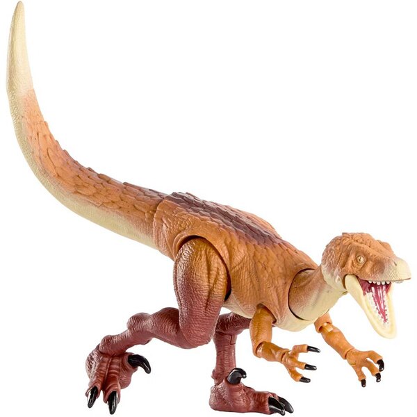 Additional Figure 2