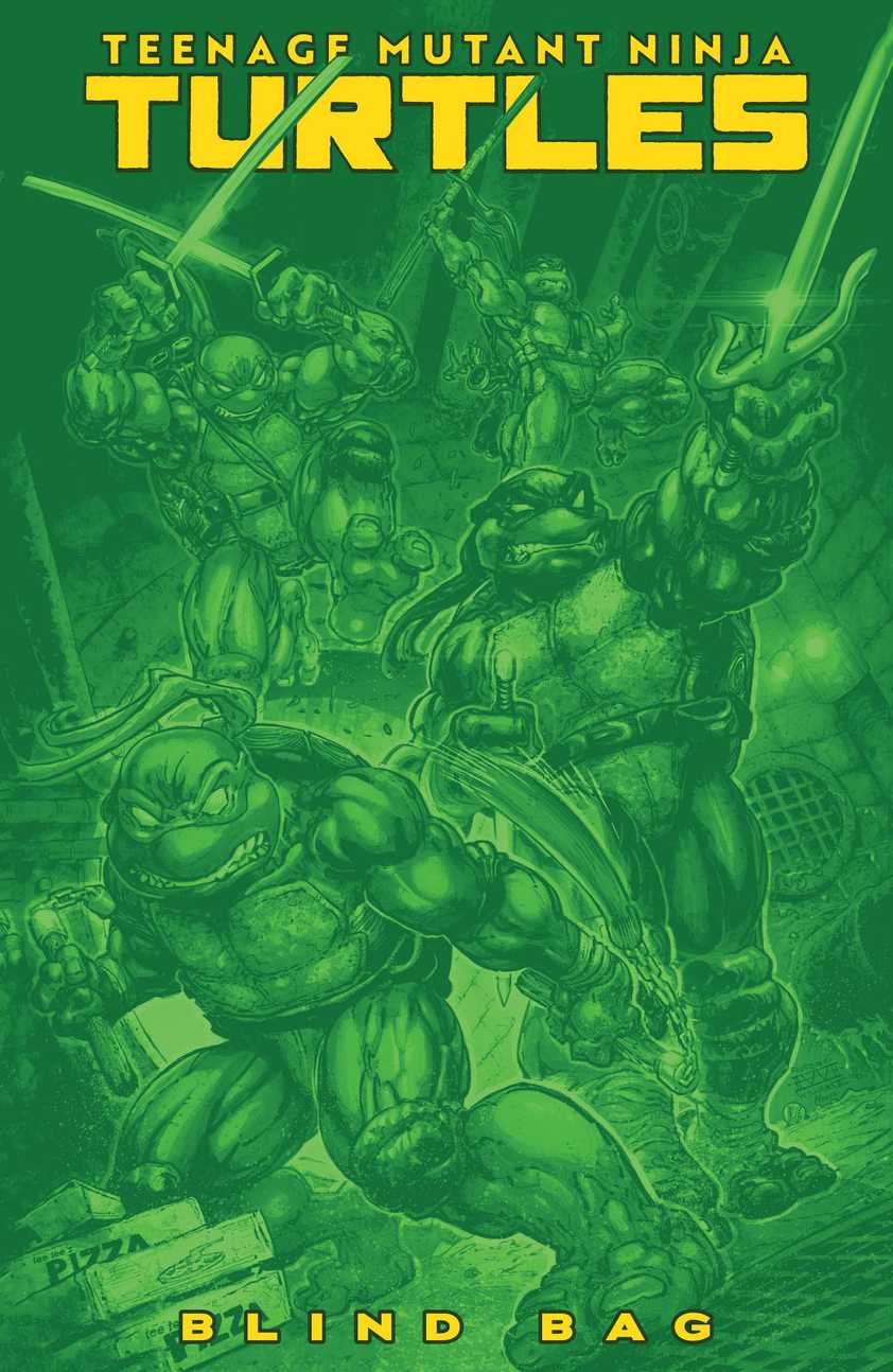 TMNT blind bag figure image