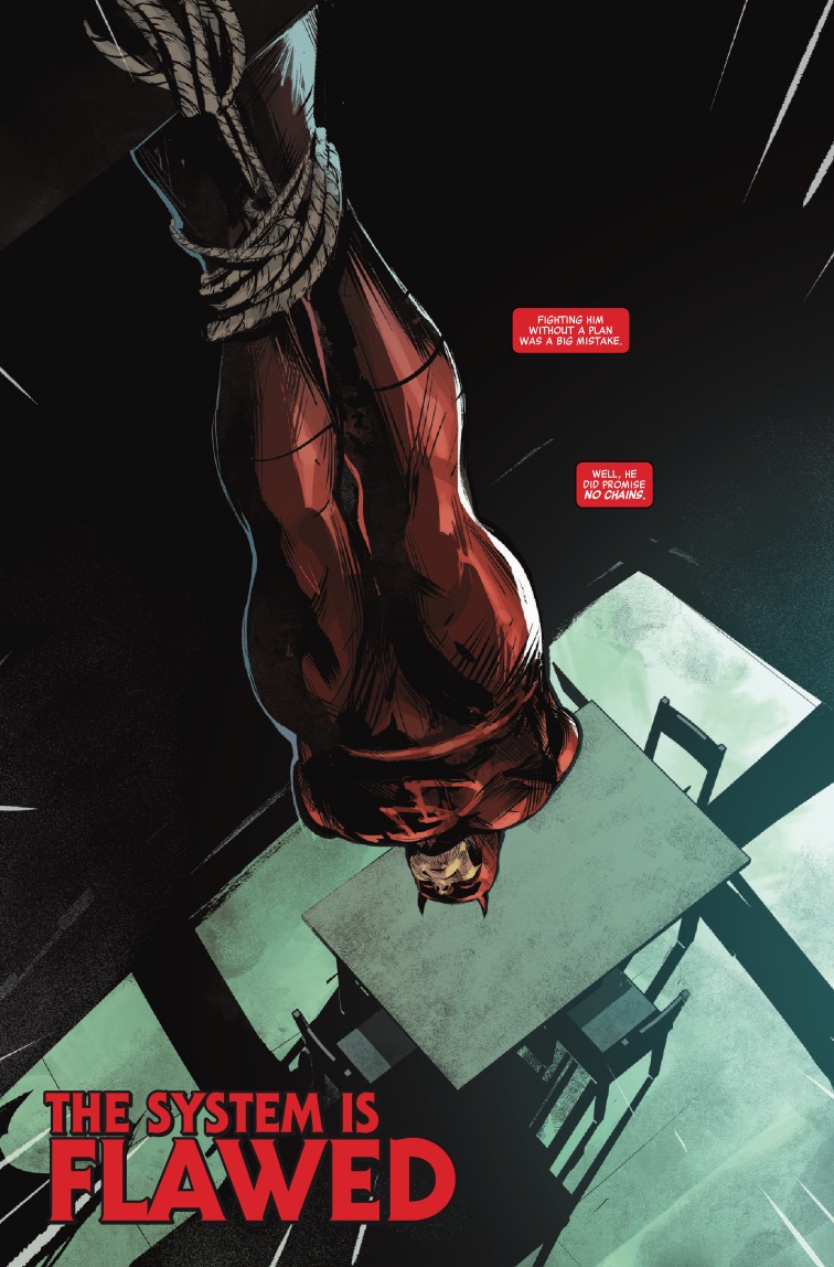 Daredevil/Punisher: The Devil