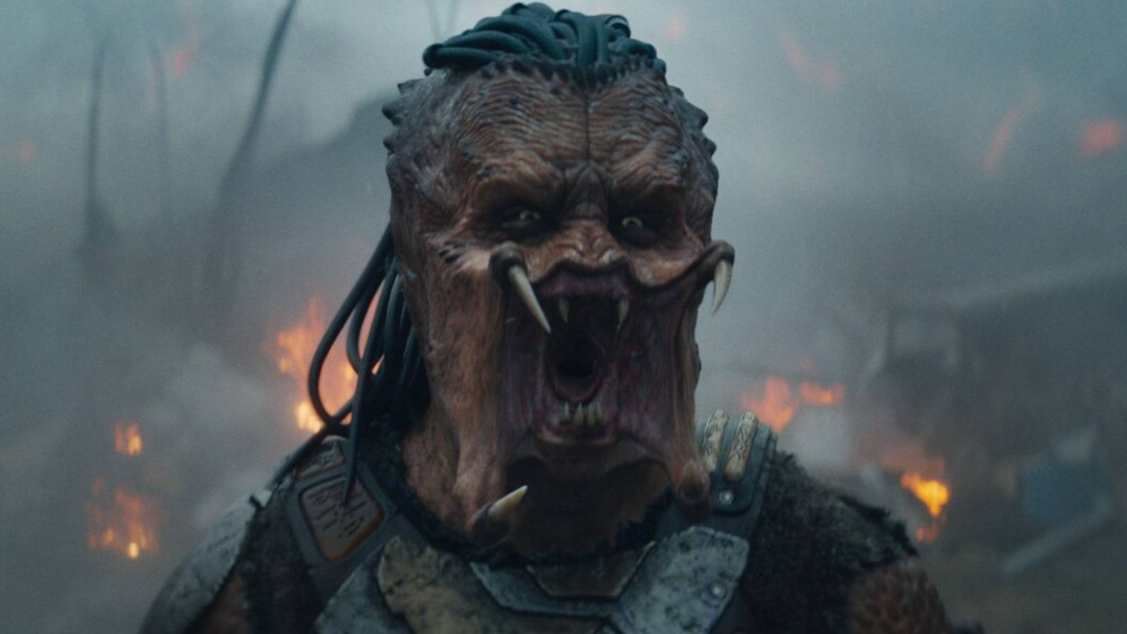 February Promises Exciting New Adventures for Predator Collectors