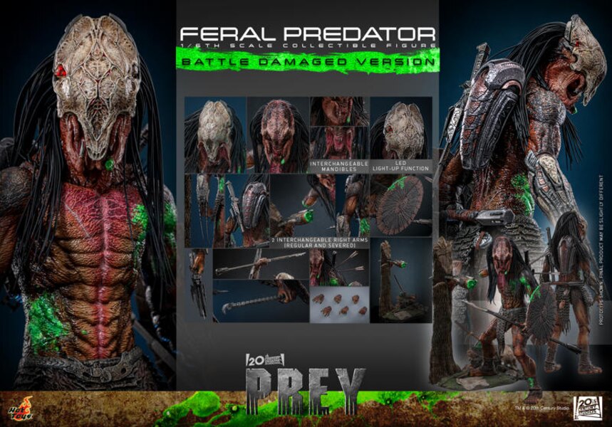 Pre-Order Alert: Hot Toys Prey - Feral Predator (Battle Damaged Version) 1/6th Scale Collectible Figure