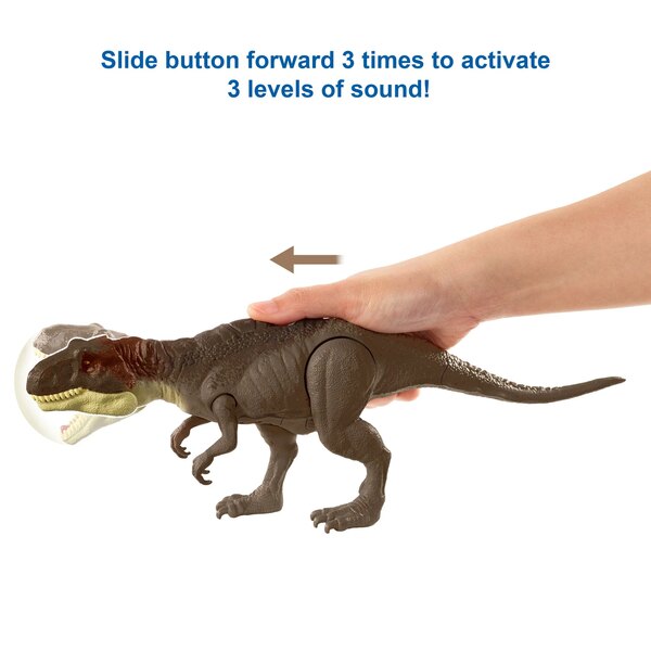 Collectible Display